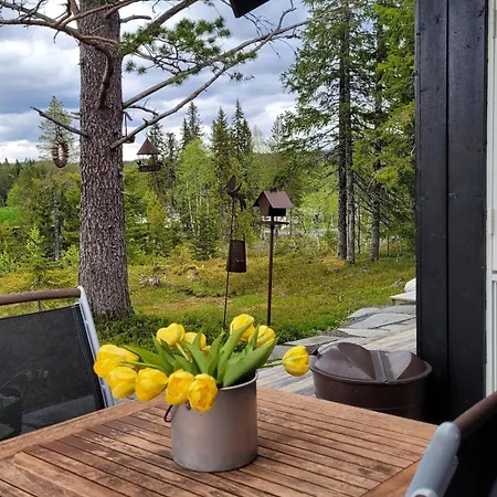 Jacuzzi Under Stjernene Сasa de vacaciones Sandvika (Trondelag)